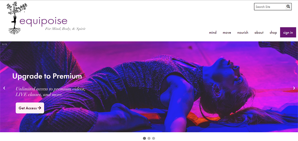 Equipoise Webpage Screenshot